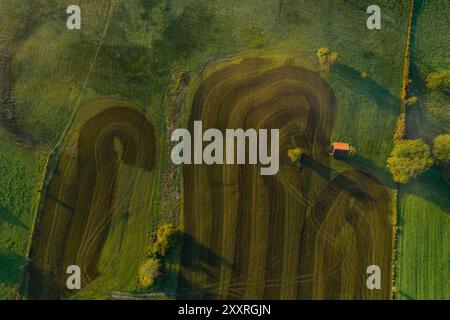 Veduta aerea di un prato fertilizzato con letame liquido alla luce del mattino, agricoltura, Murnau, Baviera, Germania, Europa Foto Stock