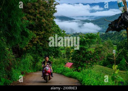 Chiang mai, Thailandia. 24 agosto 2024. Un uomo guida una moto nel villaggio di Ban Pa Pong Piang. Credito: SOPA Images Limited/Alamy Live News Foto Stock