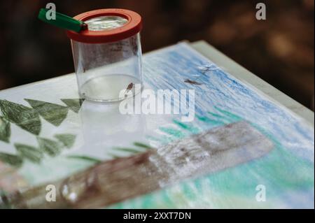 Insetto in vaso di vetro con lente d'ingrandimento sul disegno all'aperto a tema foresta per bambini Foto Stock