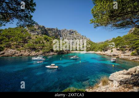 Imbarcazioni da diporto ancorate su acque turchesi, Cala Murta, Pollenca, Maiorca, Isole Baleari, Spagna Foto Stock