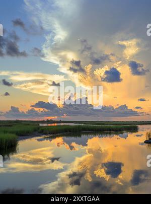 Al mattino presto nelle paludi costiere con riflessi di nuvole rosa nell'acqua della laguna, Galveston, Texas, Stati Uniti. Foto Stock