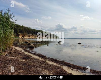 Scogliere aspre sull'isola di Poel con acqua in primo piano Foto Stock