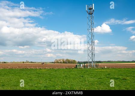 Albero e torre per antenne per telefoni cellulari installate in un campo in campagna. Stazione relè Foto Stock