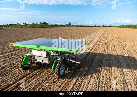 FarmDroid è un robot da campo completamente automatico, alimentato a energia solare, che automatizza la semina e la protezione delle piante. L'esclusiva precisione nella semina lo rende p Foto Stock