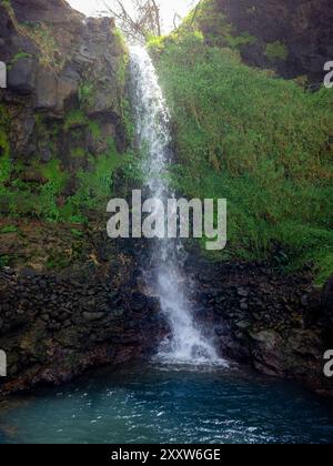 Una cascata serena si tuffa in una tranquilla piscina, circondata da vegetazione lussureggiante in un ambiente naturale appartato. Foto Stock