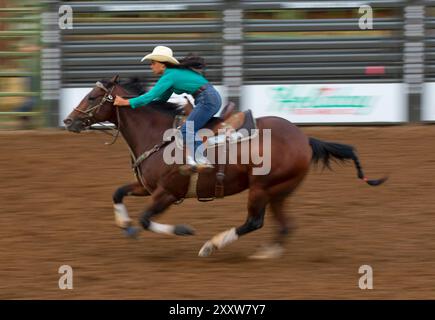 Corse di barile, Philomath Junior Rodeo, Philomath, Oregon Foto Stock