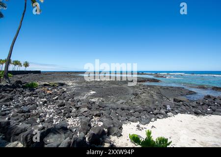 Parco storico nazionale PU uhonua o H naunau intagliato in legno di stile hawaiano, Big Island, Hawaii Foto Stock