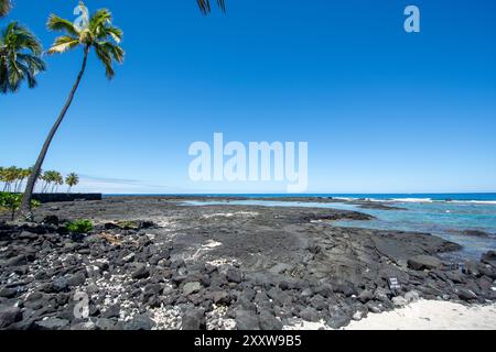 Parco storico nazionale PU uhonua o H naunau intagliato in legno di stile hawaiano, Big Island, Hawaii Foto Stock