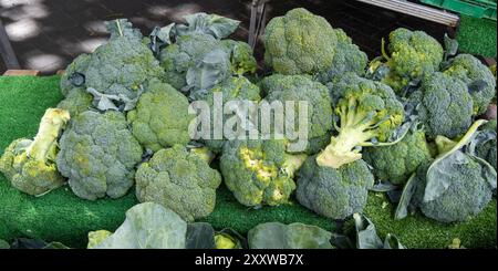 Broccoli on Market stall, High Street, Lincoln City, Lincolnshire, Inghilterra, REGNO UNITO Foto Stock