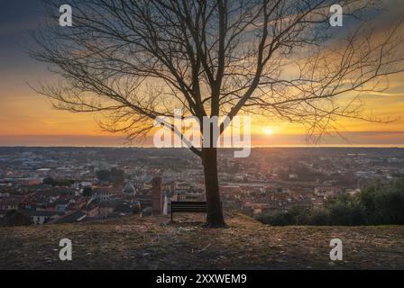 Albero, panchina e vista panoramica di Pietrasanta dalla Rocca di sala al tramonto. Versilia, provincia di Lucca, regione Toscana, Italia, Europa Foto Stock