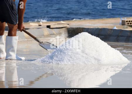 Un lavoratore che spara sale marino in un mucchio in un bacino vicino a un mulino a vento. Foto Stock