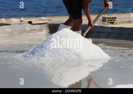 Un lavoratore che spara sale marino in un mucchio in un bacino vicino a un mulino a vento. Foto Stock