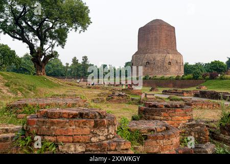 10 02 2005 Vintage Old Heritage Dhamek stupa è una delle più antiche strutture buddiste in India, situata a Sarnath, a Varanasi Uttar Pradesh India Asi Foto Stock