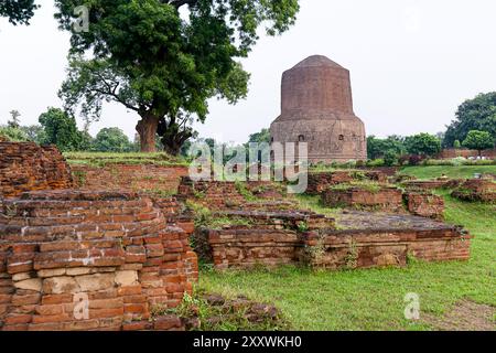 10 02 2005 Vintage Old Heritage Dhamek stupa è una delle più antiche strutture buddiste in India, situata a Sarnath, a Varanasi Uttar Pradesh India Asi Foto Stock