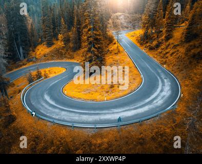 Vista aerea della strada bagnata e della foresta arancione in autunno dorato Foto Stock