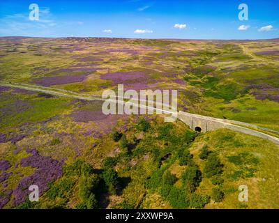 Un drone cattura la vista mozzafiato dell'antico ponte su Kirkby Malzeard Moor, mostrando vasti campi di erica sotto cieli limpidi. Foto Stock