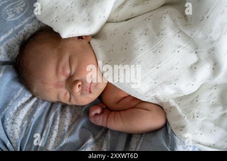 Un'immagine serena di un neonato che dorme profondamente, avvolto in una morbida coperta bianca. L'espressione pacifica dei bambini cattura l'innocenza e la tranquillità Foto Stock