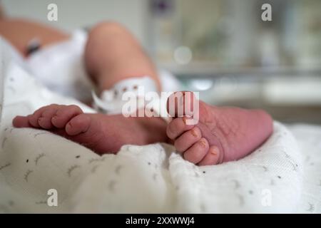 Primo piano dei piedi per neonati con braccialetto di identificazione Foto Stock