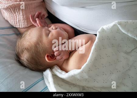 Un neonato tranquillo dorme sonni tranquilli, avvolto in una coperta bianca con un piccolo motivo, che riposa contro un adulto. L'immagine cattura il calore e s Foto Stock