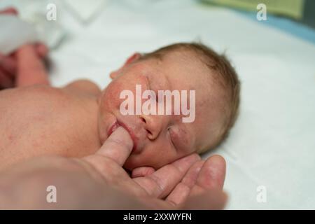 Un neonato sereno giace su una coperta bianca con gli occhi chiusi, succhiando il dito dei genitori. Questa immagine cattura l'essenza della cura del neonato e del Foto Stock