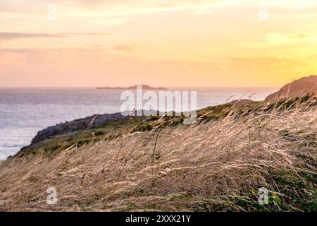Luce solare serale sul sentiero della costa del Pembrokeshire, Galles Foto Stock