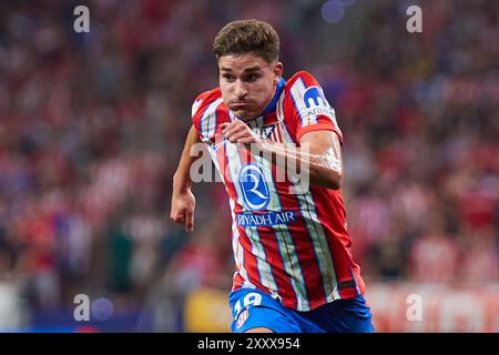 Madrid, Spagna. 26 agosto 2024. MADRID, SPAGNA - AGOSTO 26: Julian Alvarez Centro-attaccante dell'Atletico de Madrid in azione durante la partita LaLiga EA Sports tra Club Atletico de Madrid e Girona FC allo stadio Civitas Metropolitano il 25 agosto 2024 a Madrid, Spagna. (Foto di Jose Torres/Photo Players Images/Magara Press) credito: Magara Press SL/Alamy Live News Foto Stock