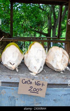 Noci di cocco in vendita sul ciglio della strada in nuova Caledonia Foto Stock