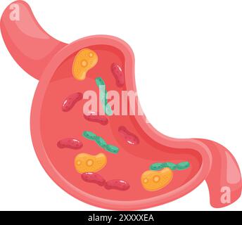 Illustrazione in stile cartone animato di uno stomaco umano che mostra batteri all'interno Illustrazione Vettoriale