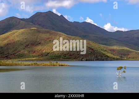 Yate Lake, parco provinciale di Blue River Foto Stock