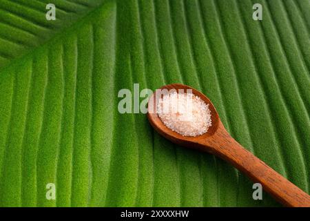 Sale fine e cristalli rosa dell'Himalaya sul cucchiaio. Foto Stock