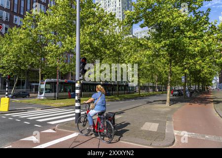 Verde urbano, via Laan op Zuid, nel quartiere Feijenoord di Rotterdam, 4 corsie, 2 binari del tram, piste ciclabili su entrambi i lati, marciapiedi e parcheggio Foto Stock