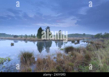 Tramonto estivo sulla palude, Frisia, Paesi Bassi Foto Stock