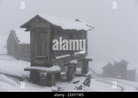 Espigueiro struttura tradizionale per lo stoccaggio del mais su un paesaggio invernale bianco neve con neve che cade nel nord del Portogallo Foto Stock