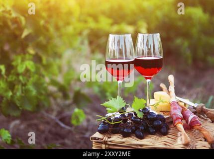 Due bicchieri di vino rosato con pane, carne, uva e formaggio sulla vigna sfondo Foto Stock