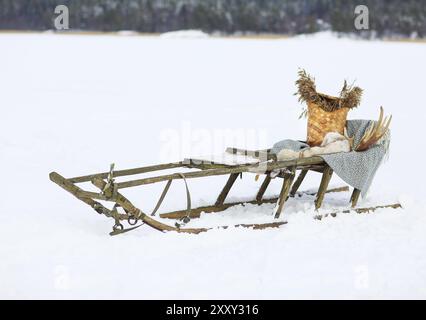 Vecchi cani da slitta nella tundra con decorazione Foto Stock