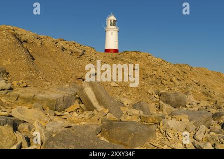 Portland Bill Lighthouse visto da rocce vicino a pulpito Rock, Jurassic Coast, Dorset, Regno Unito, Jurassic Coast, Dorset, Regno Unito Foto Stock