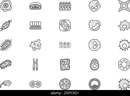 La raccolta Biology icons (icone biologia) è un'illustrazione vettoriale con traccia modificabile. Illustrazione Vettoriale