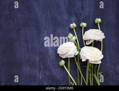 Bianco bouquet ranuncoli su sfondo nero in vista superiore Foto Stock