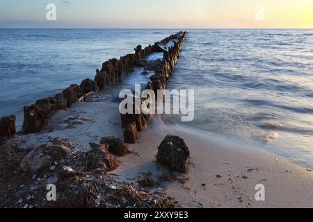 Vecchio frangiflutti in legno nel Mare del Nord al tramonto, in Olanda Foto Stock