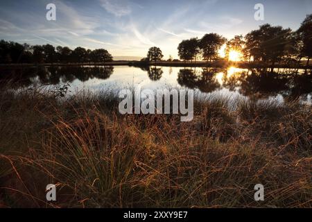 Le stelle tramonteranno sul lago selvaggio al tramonto, Dwingelderveld, Drenthe, Paesi Bassi Foto Stock