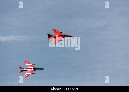 Folland zanzare a Shoreham Airshow di Foto Stock