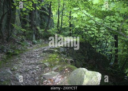 Sentiero escursionistico in pietra nelle montagne Harz Foto Stock