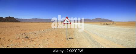 Cartello Zebra attraversa una pista di ghiaia nella riserva naturale Namibrand in Namibia Foto Stock