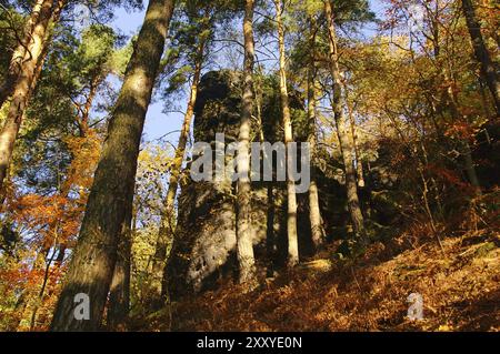 Sandsteinfelsen im Wald, pietra arenaria nella foresta 29 Foto Stock