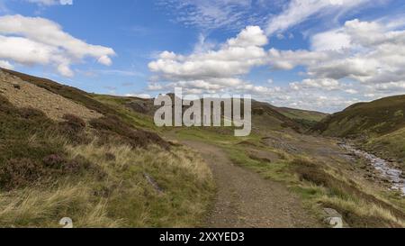 Yorkshire Dales paesaggio con le rovine della rinuncia puzzava Mill, tra Feetham e Langthwaite, North Yorkshire, Regno Unito Foto Stock