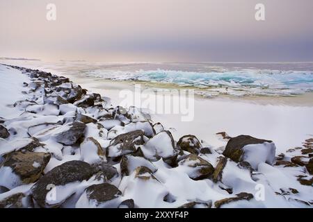 Ghiaccio rotto sul Mare del Nord in inverno, Paesi Bassi Foto Stock