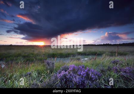 Il tramonto tramonta sulla palude con una tempesta prima della tempesta Foto Stock