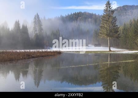 Capanna in legno e foresta alpina in inverno riflessa nel lago Foto Stock