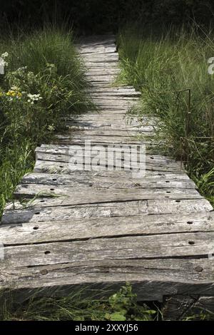 Passerella attraverso una brughiera Foto Stock