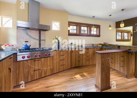Cucina contemporanea con splendidi armadi in legno intarsiati e pareti colorate Foto Stock